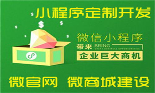 張家口網(wǎng)絡公司以創(chuàng)新軟件外包服務贏得客戶滿意